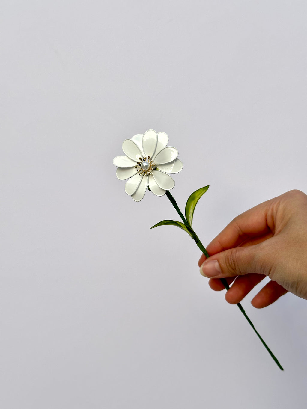 Daisy