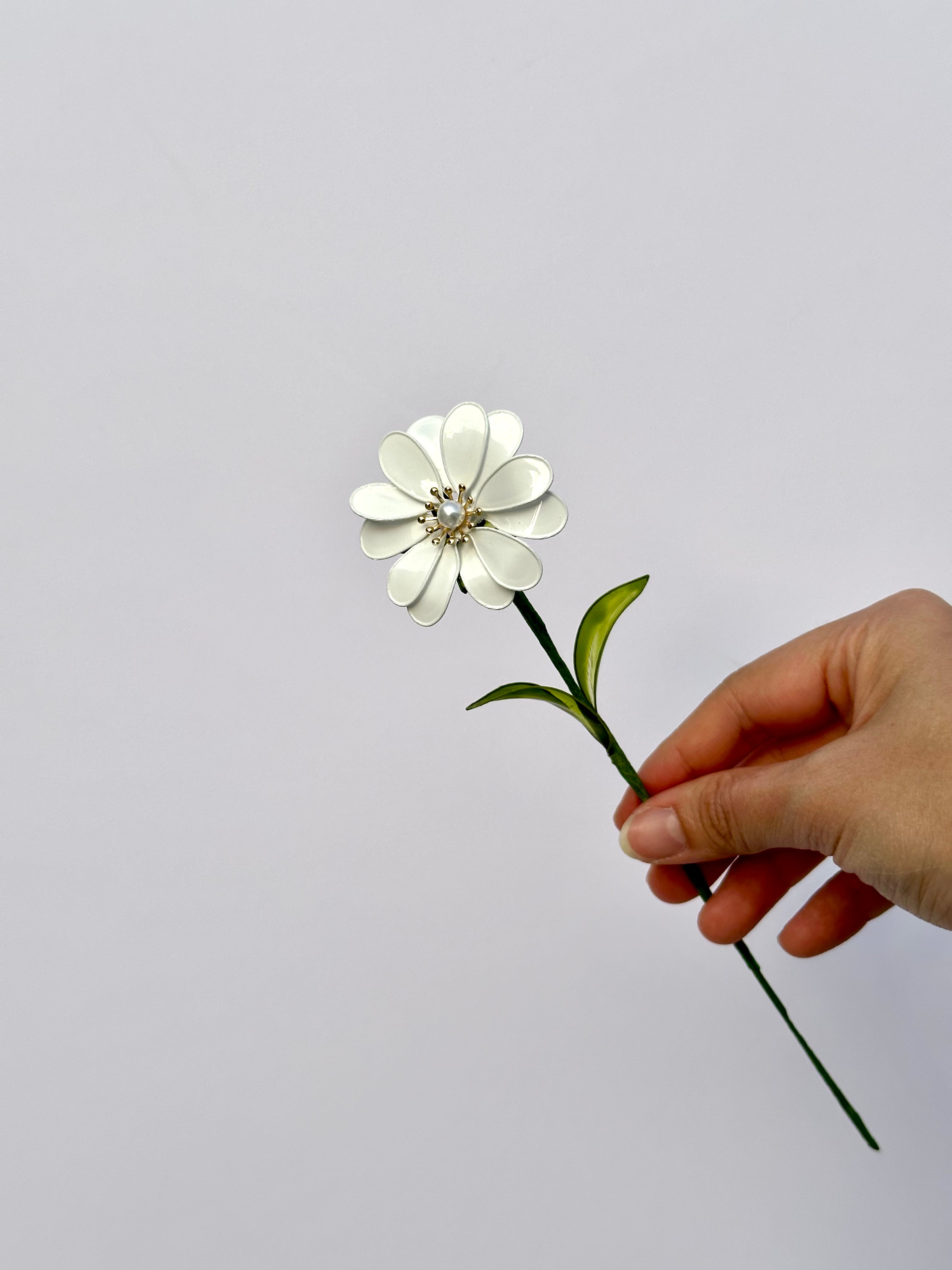 Daisy