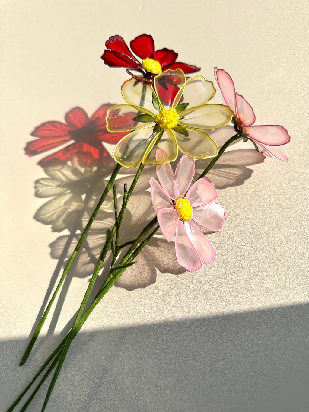 Cosmos - Jewel Cathedral Colour