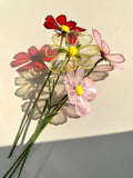 Cosmos - Jewel Cathedral Colour