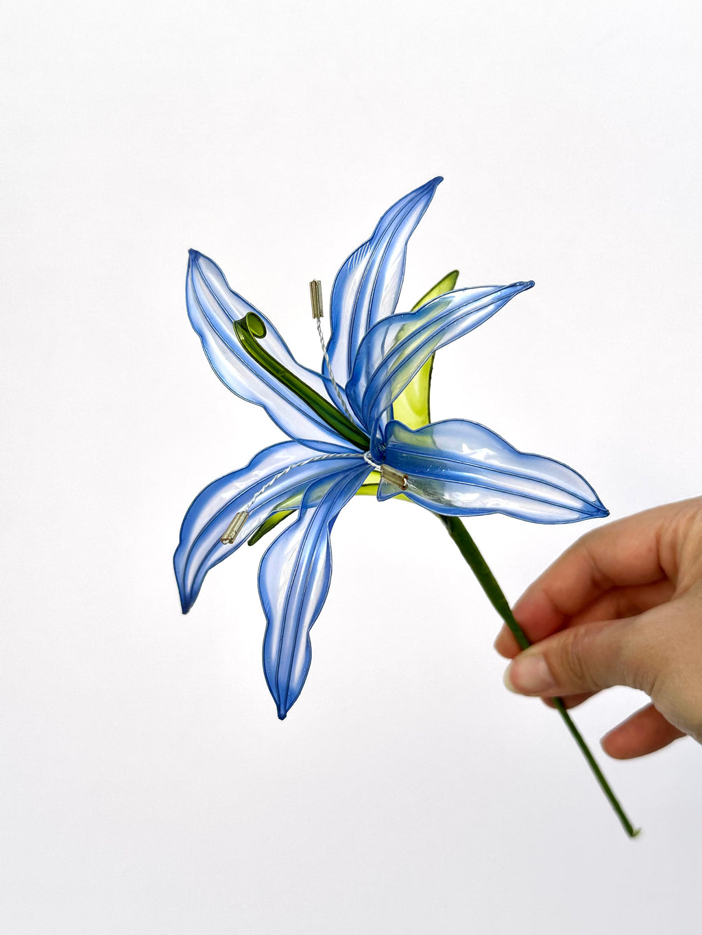 Lily - Pearl Reverie Colour