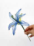 Lily - Pearl Reverie Colour