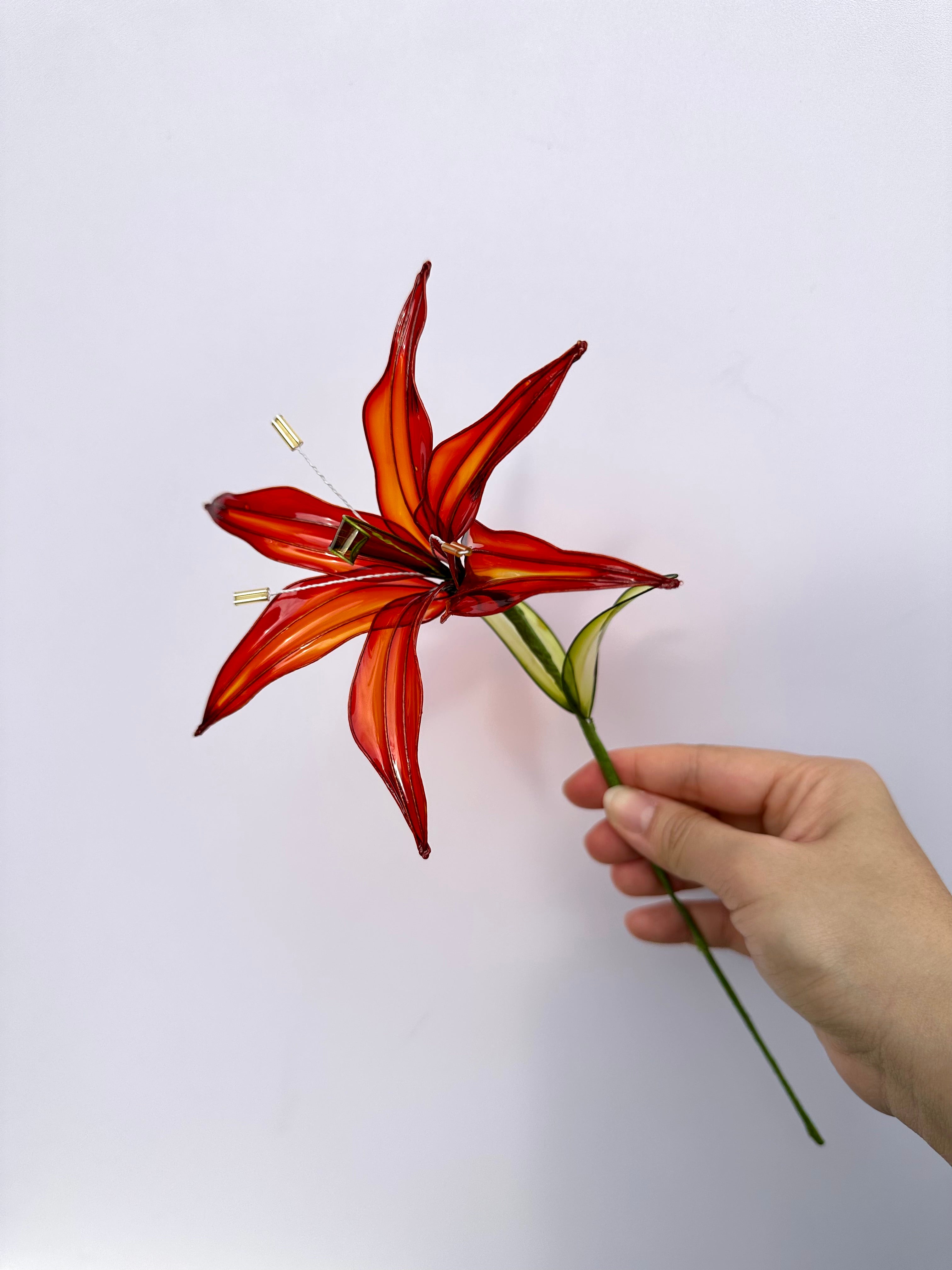 Lily - Jewel Cathedral Colour