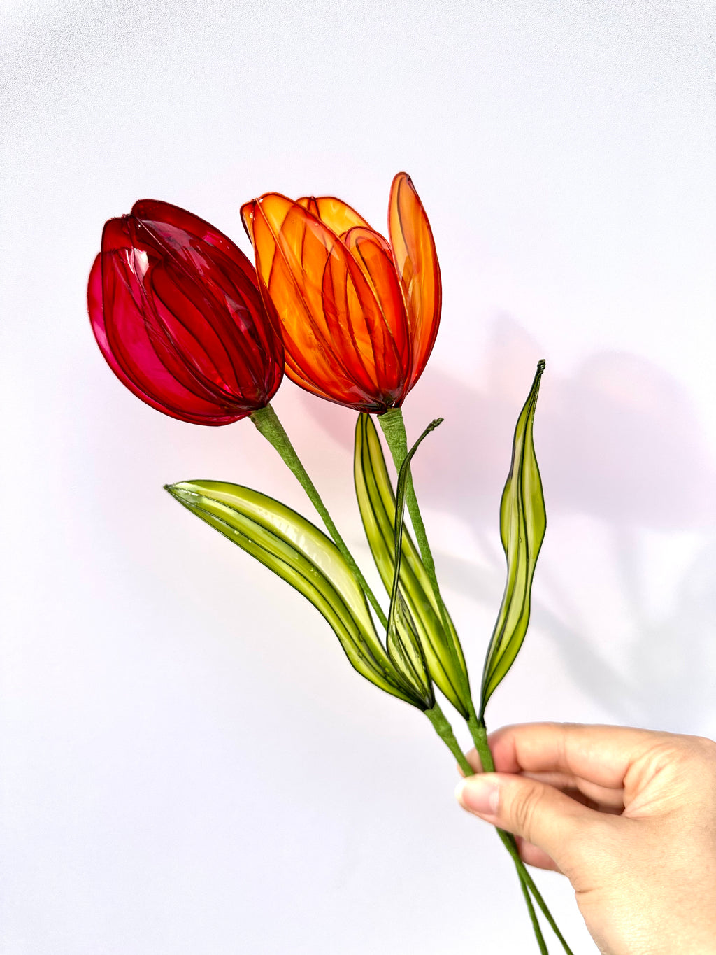 Tulip - Jewel Cathedral Colour