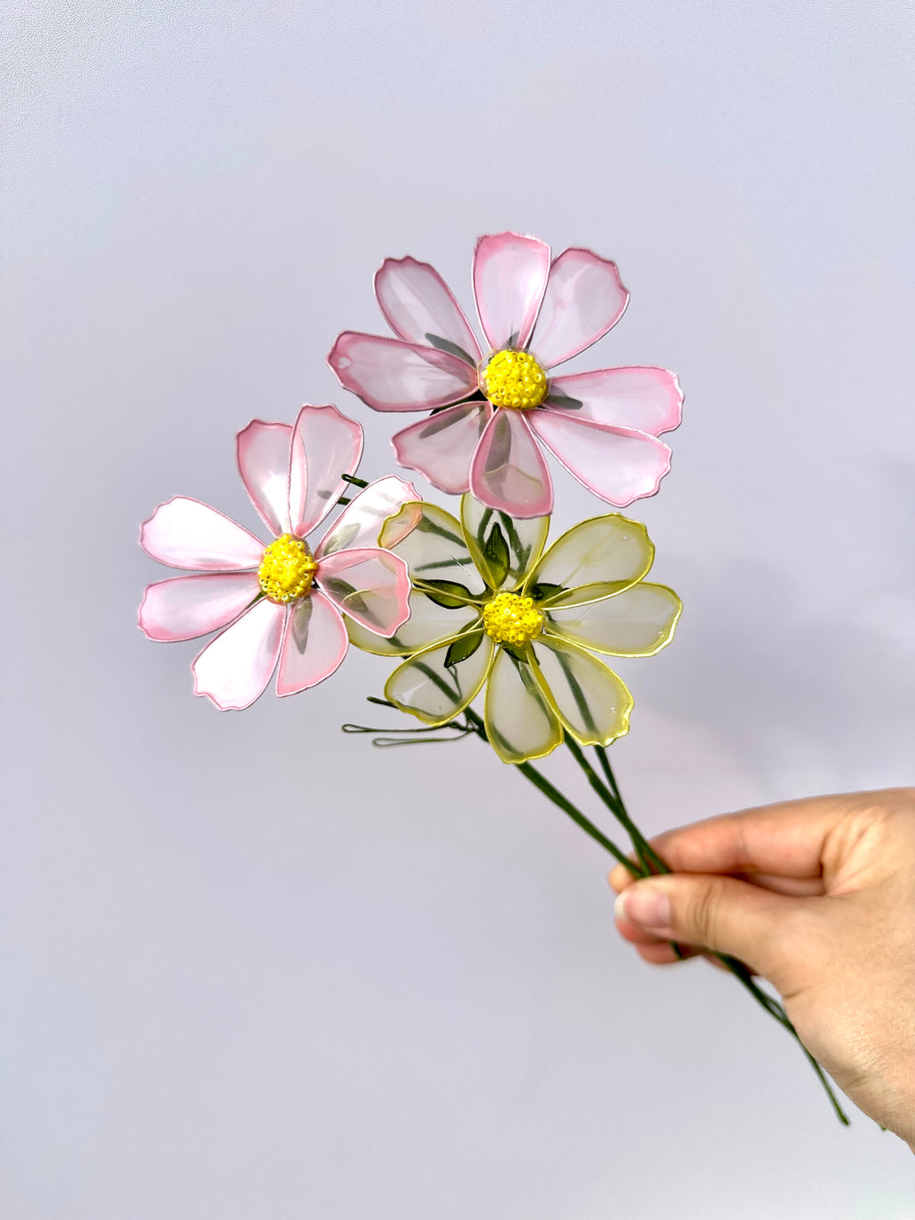 Cosmos - Pearl Reverie Colour