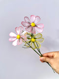 Cosmos - Pearl Reverie Colour