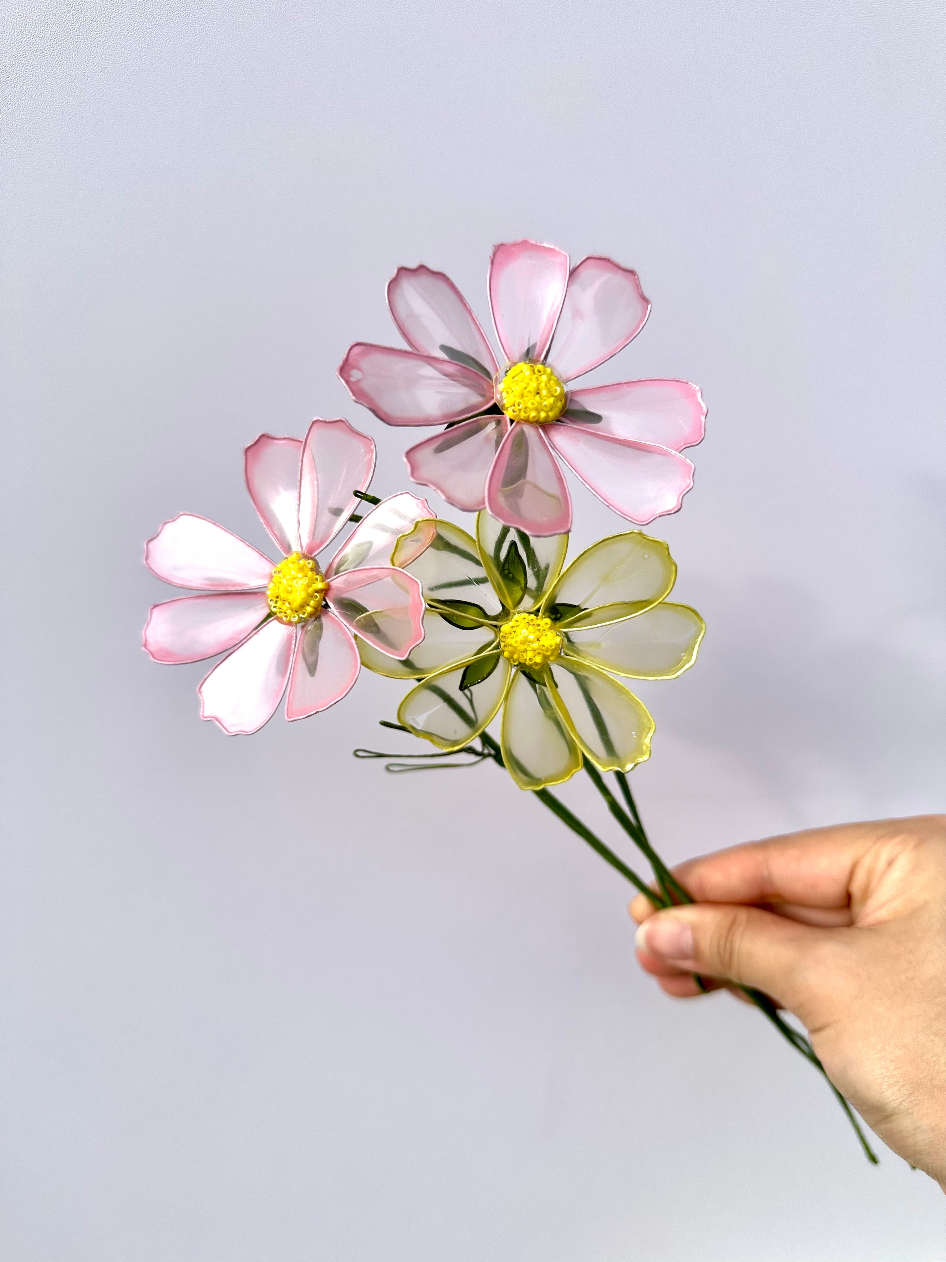 Cosmos - Pearl Reverie Colour