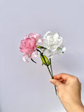 Rose - Pearl Reverie Colour